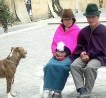 rufus tailed hummingbird